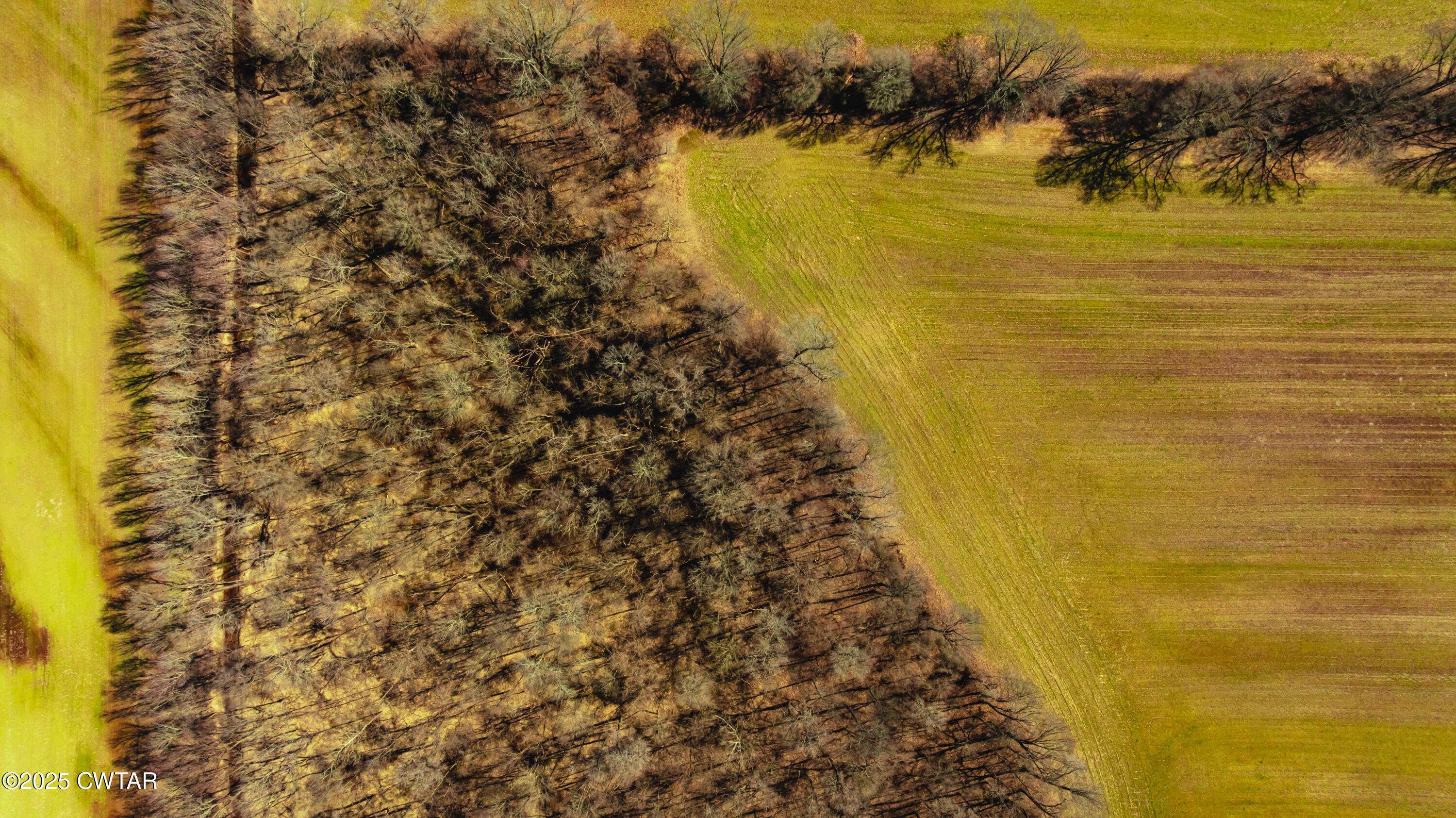 0 Colvett Road Alamo, TN 38001 - Photo 4 of 15 DJI_20250227113015_0050_D