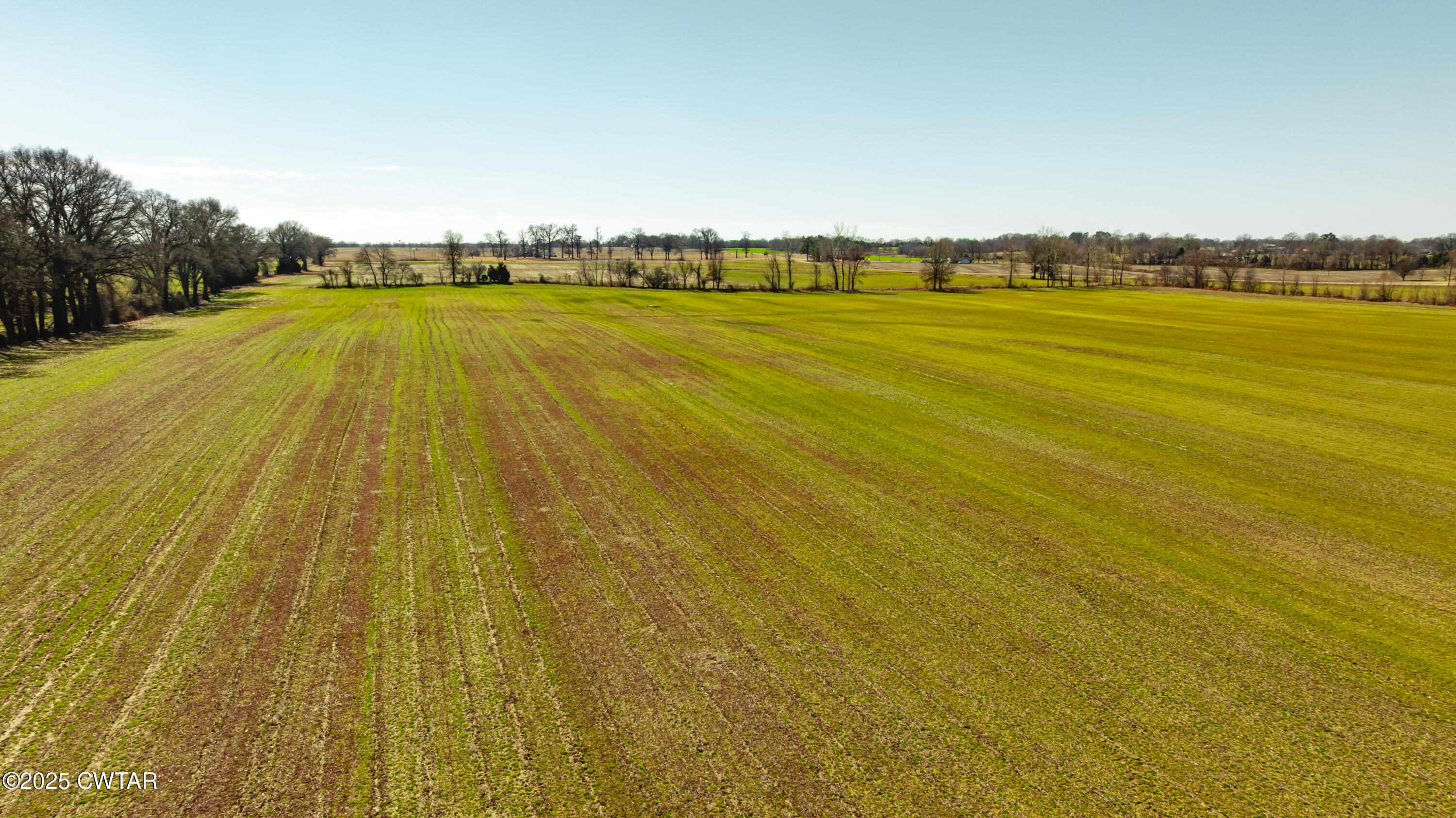 0 Colvett Road Alamo, TN 38001 - Photo 5 of 15 DJI_20250227113104_0051_D
