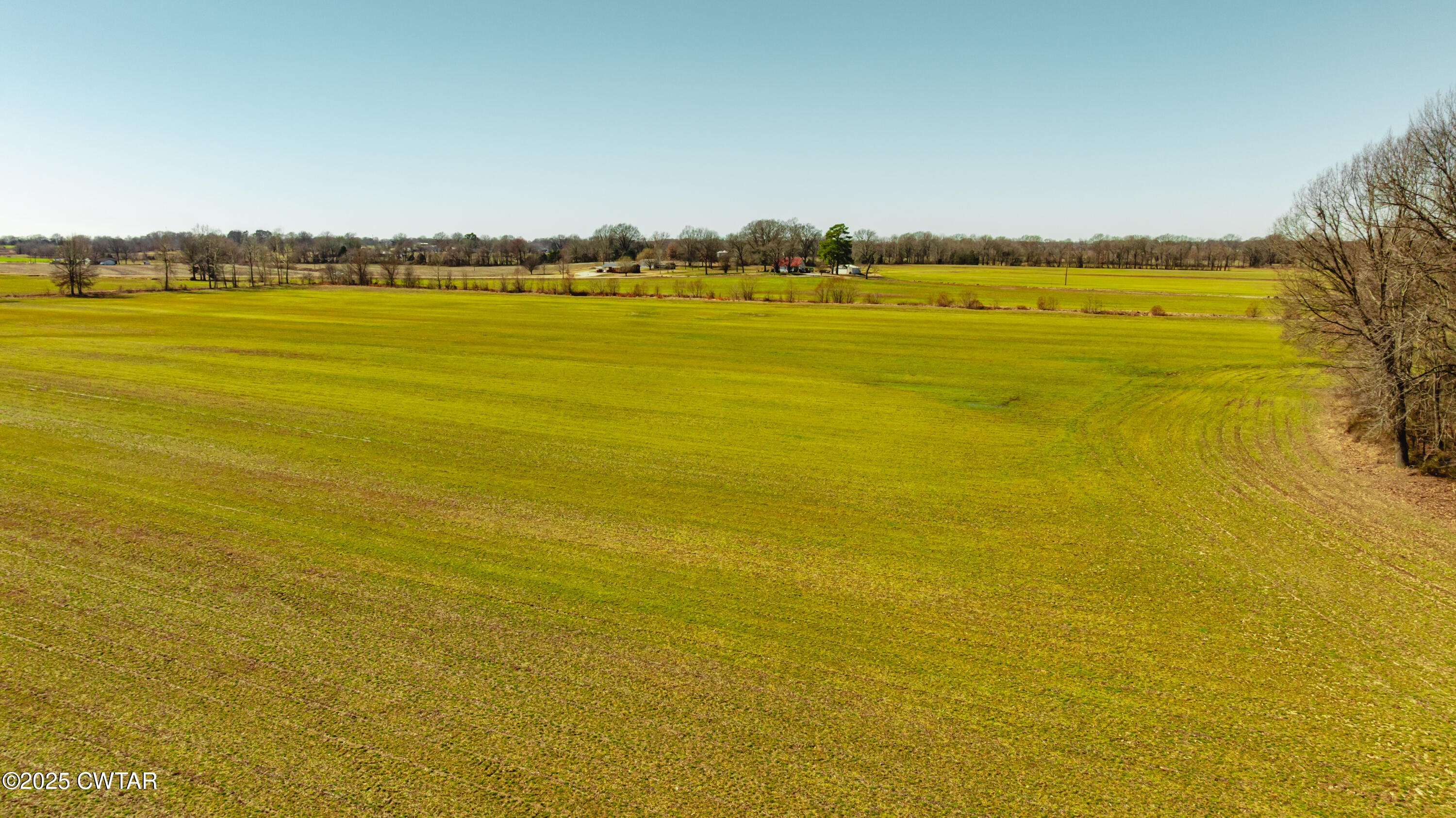 0 Colvett Road Alamo, TN 38001 - Photo 6 of 15 DJI_20250227113109_0052_D