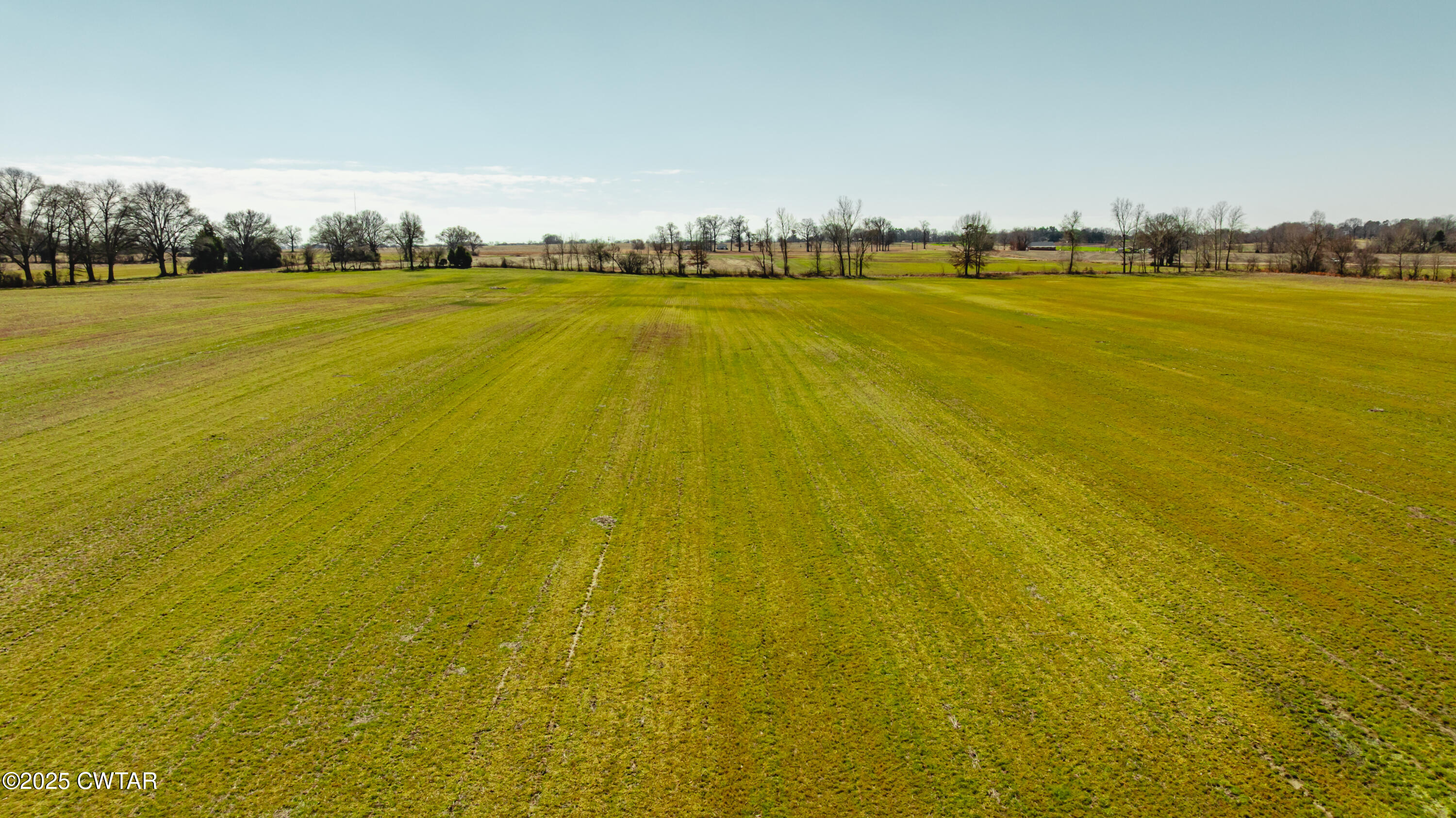 0 Colvett Road Alamo, TN 38001 - Photo 7 of 15 DJI_20250227113129_0053_D