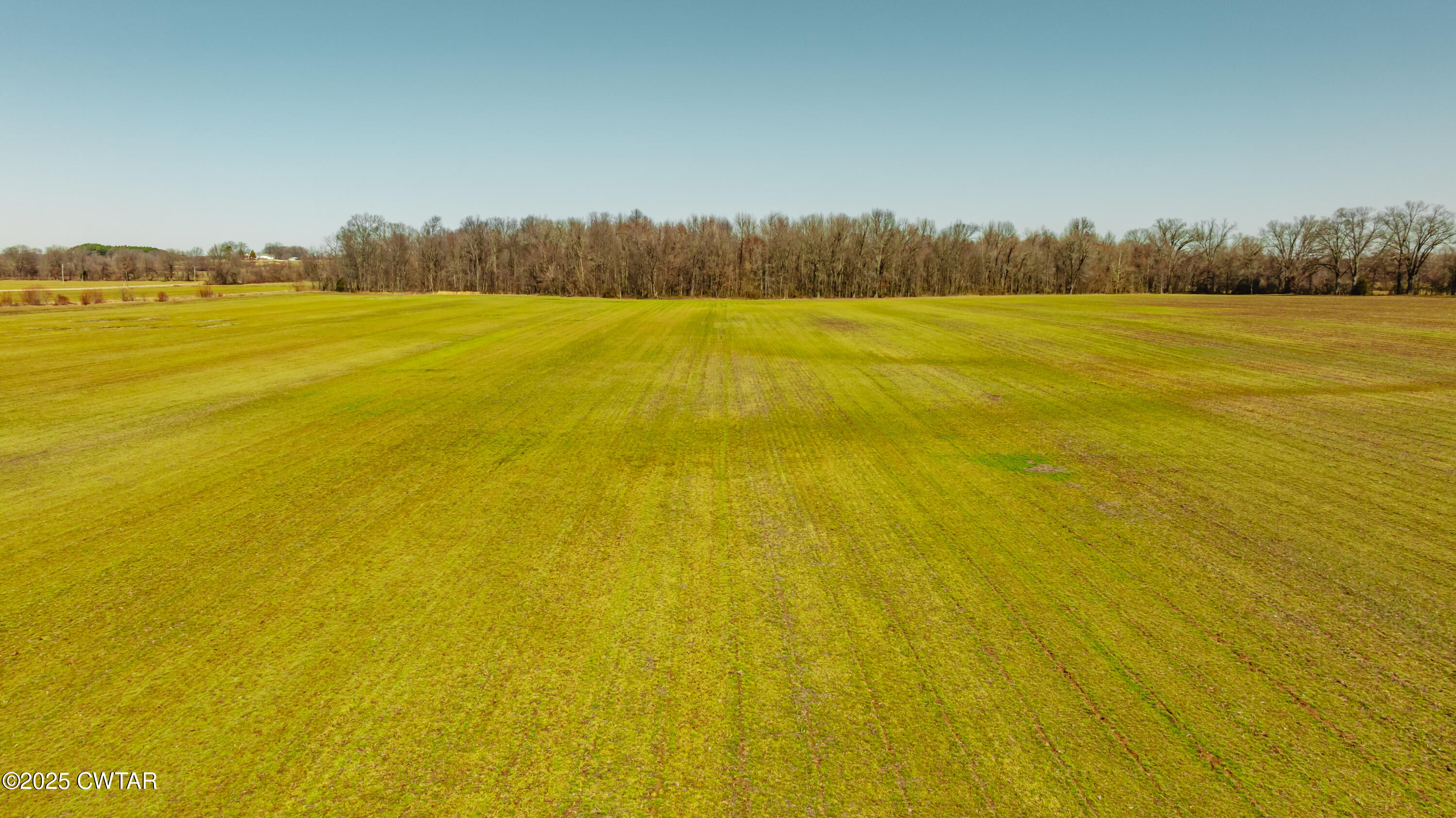 0 Colvett Road Alamo, TN 38001 - Photo 8 of 15 DJI_20250227113151_0054_D