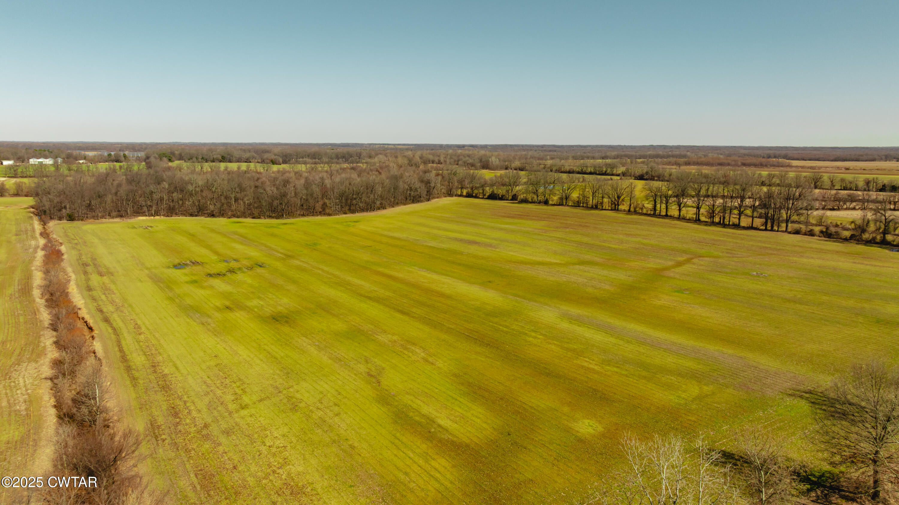 0 Colvett Road Alamo, TN 38001 - Photo 9 of 15 DJI_20250227113217_0055_D