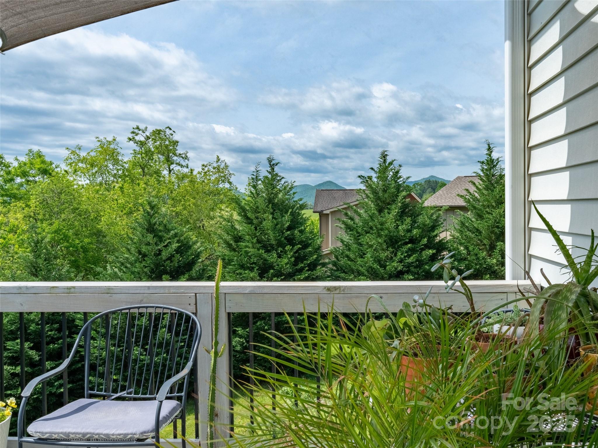 12 Paul Bridges Road Alexander, NC 28701 - Photo 32 of 37 Gallery Image 32