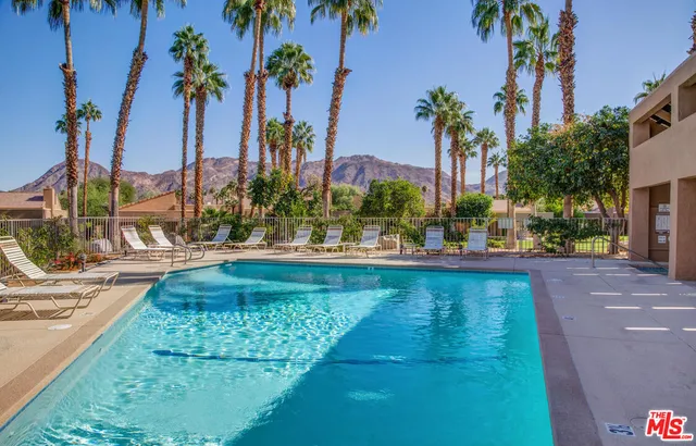 a view of a lake and a palm trees