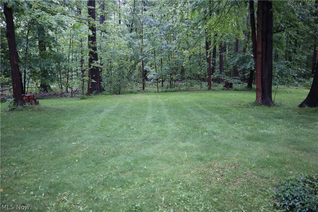 11385 County Line Road Chesterland, OH 44026 - Photo 10 of 10 Gallery Image 10
