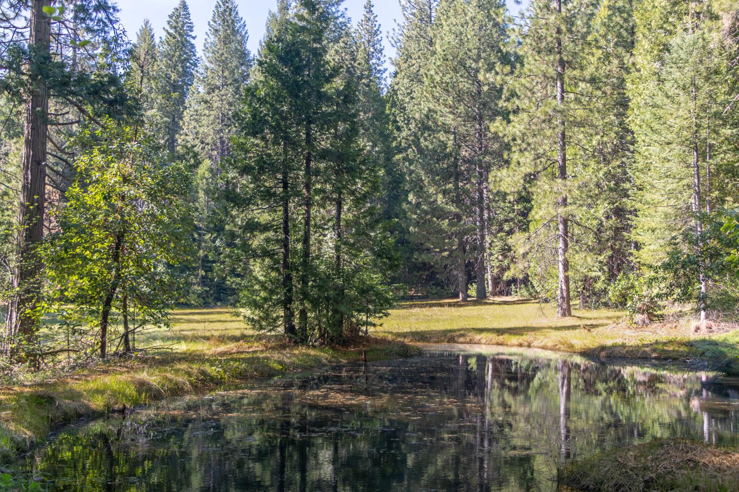 14138 La Porte Road Strawberry Valley, CA 95981 - Photo 4 of 61 Gallery Image 4