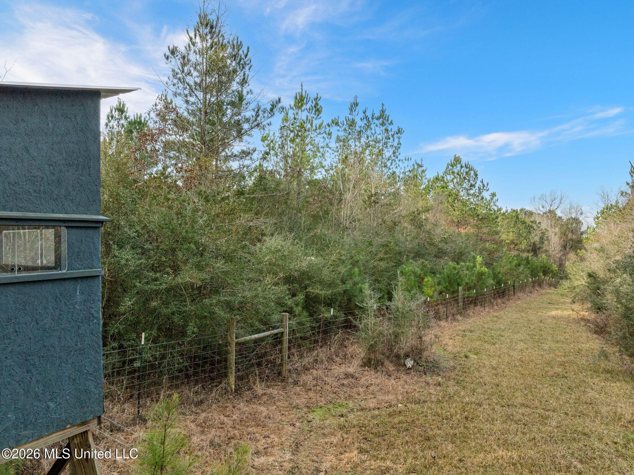135 County 472 Pinola, MS 39149 - Photo 66 of 72 135_County_Road_472-61