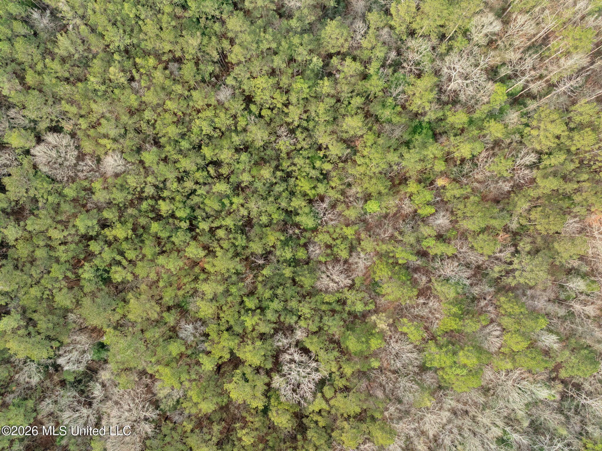 135 County 472 Pinola, MS 39149 - Photo 68 of 72 135_County_Road_472-60