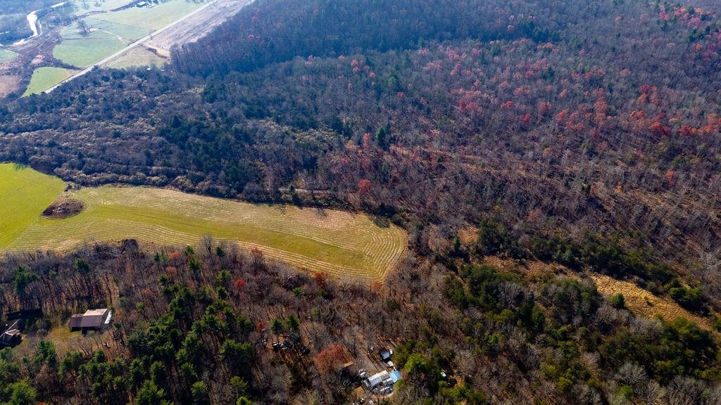 Tbd Jackson River Road Monterey, VA 24465 - Photo 5 of 22