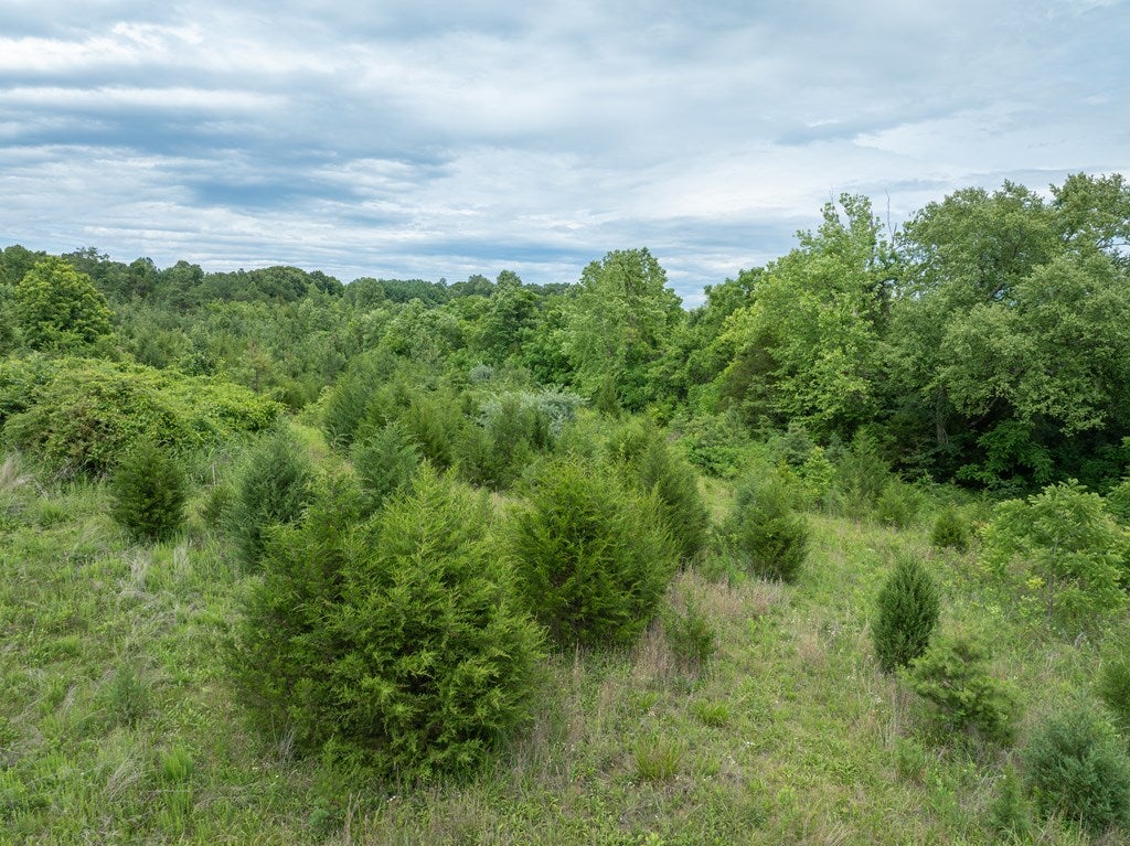 Featherfin Road, Unit 3B Prospect, VA 23960 - Photo 12 of 35 Gallery Image 12