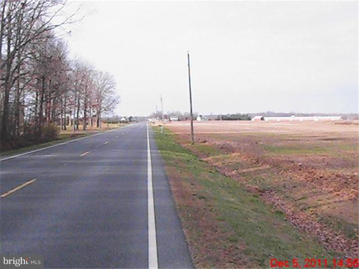 0 Whitleysburg Road Harrington, DE 19952 - Photo 3 of 10 Gallery Image 3