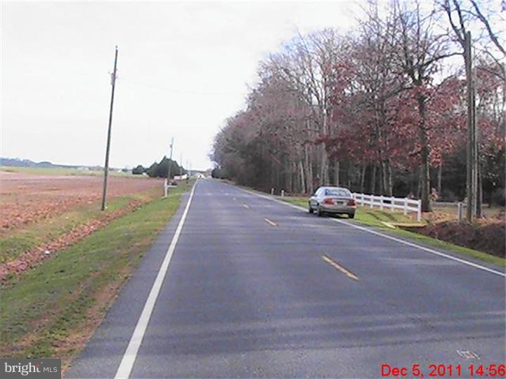 0 Whitleysburg Road Harrington, DE 19952 - Photo 4 of 10 Gallery Image 4
