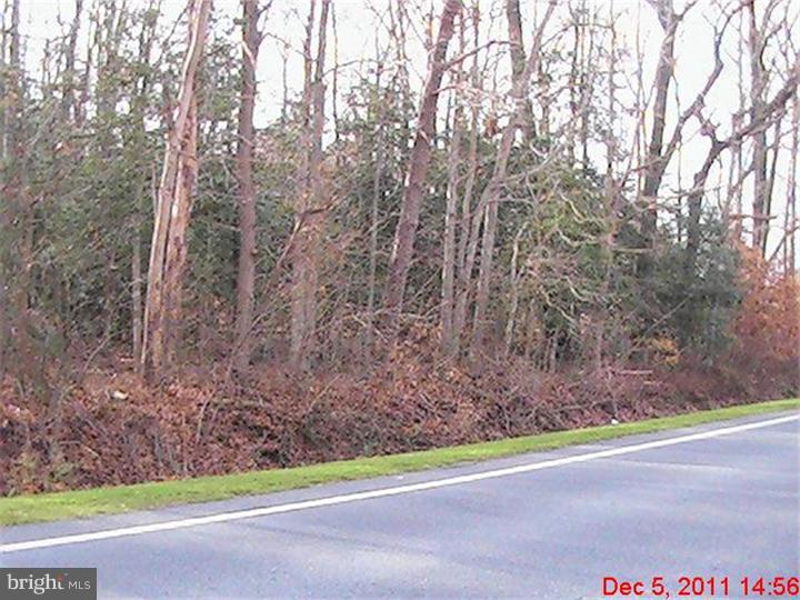 0 Whitleysburg Road Harrington, DE 19952 - Photo 5 of 10 Gallery Image 5
