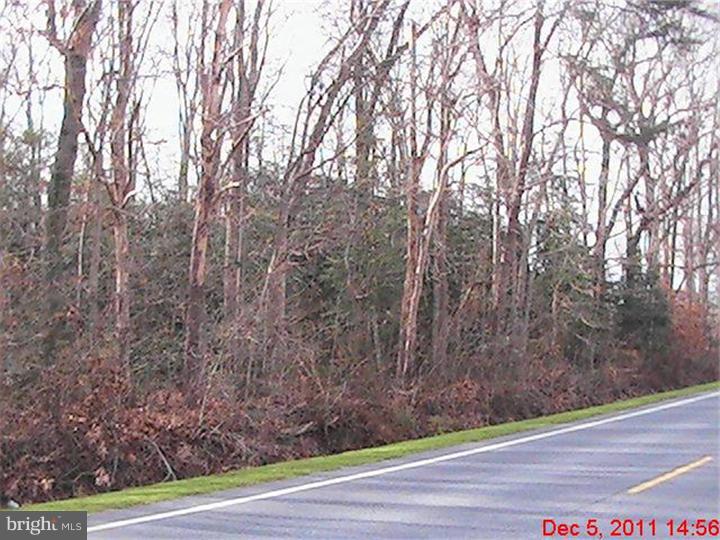 0 Whitleysburg Road Harrington, DE 19952 - Photo 8 of 10 Gallery Image 8