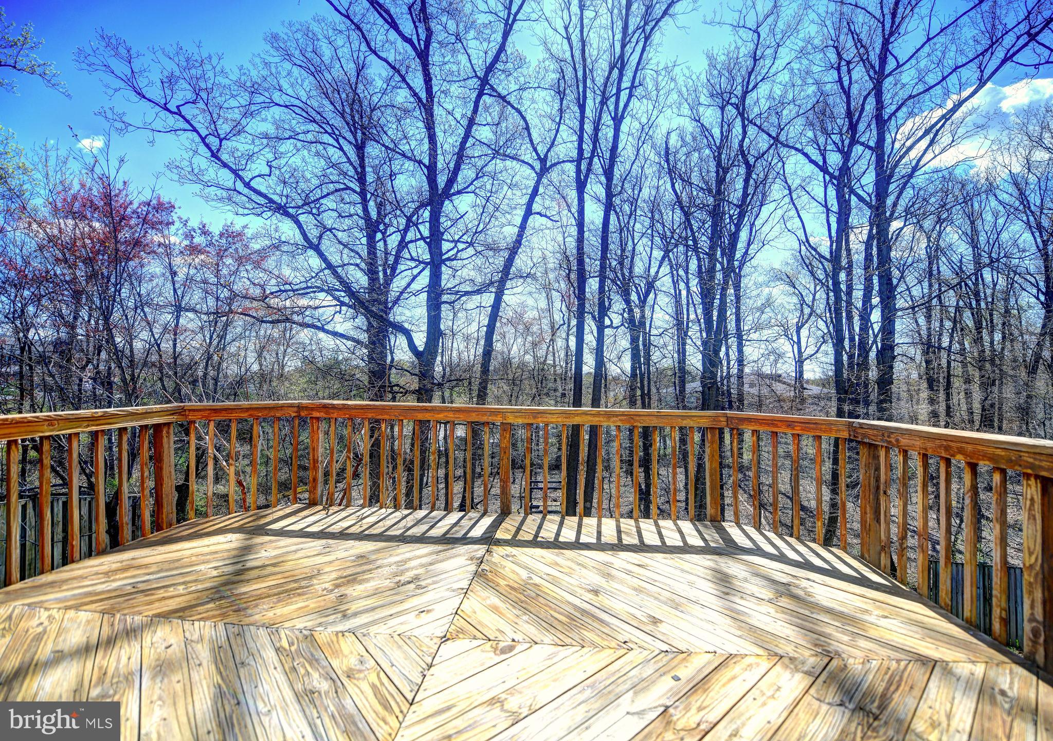 3762 Foxford Stream Road Baltimore, MD 21236 - Photo 16 of 31 Gallery Image 16