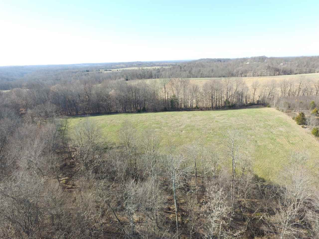 23-acres Cemetery Road Scottsville, KY 42164 - Photo 4 of 32 Gallery Image 4