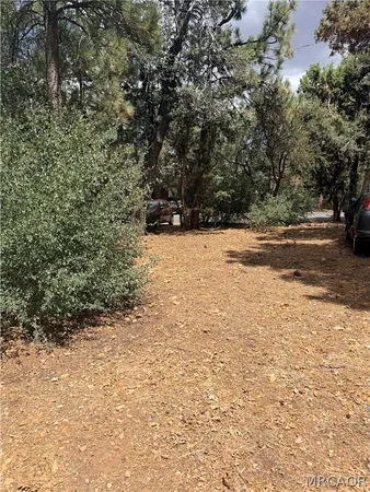 a view of beach and yard