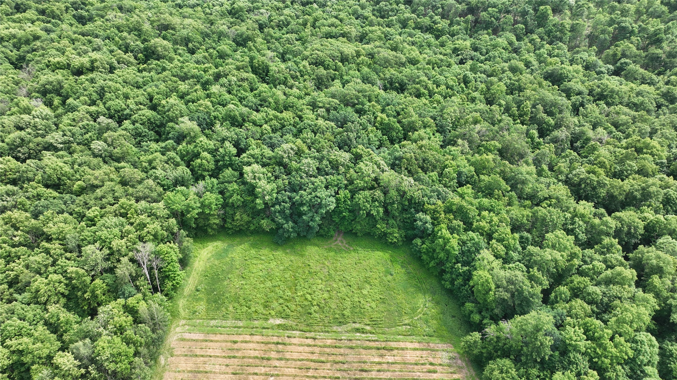 Xx County Rd Q Downing, WI 54734 - Photo 28 of 45