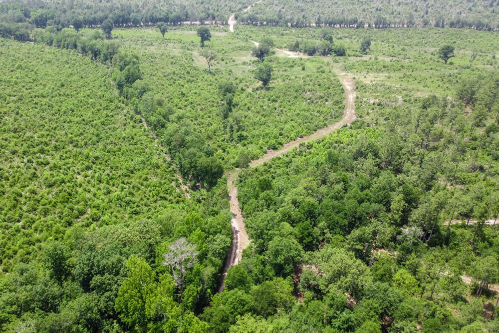 444 Dragstrip Road Aiken, SC 29803 - Photo 4 of 26 aerial3