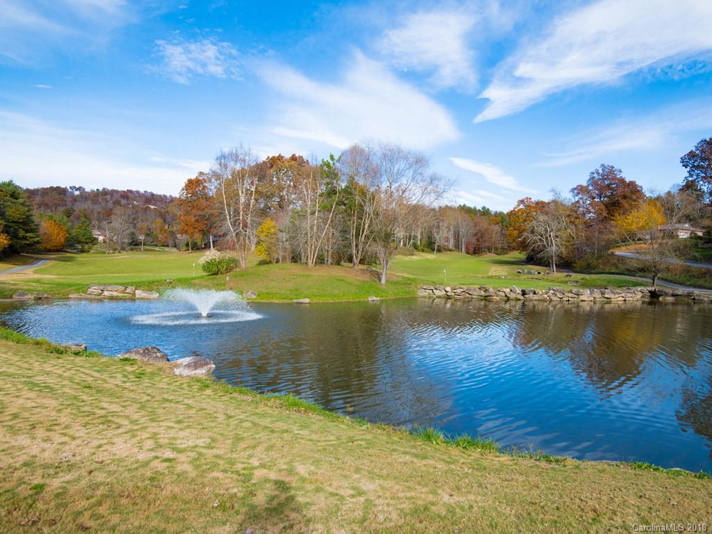 3017 Cove Loop Road Hendersonville, NC 28739 - Photo 29 of 36 Gallery Image 29