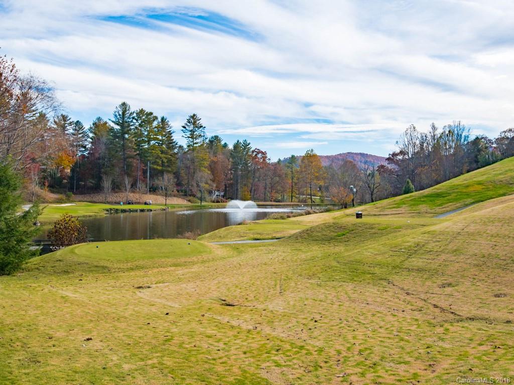 3017 Cove Loop Road Hendersonville, NC 28739 - Photo 31 of 36 Gallery Image 31