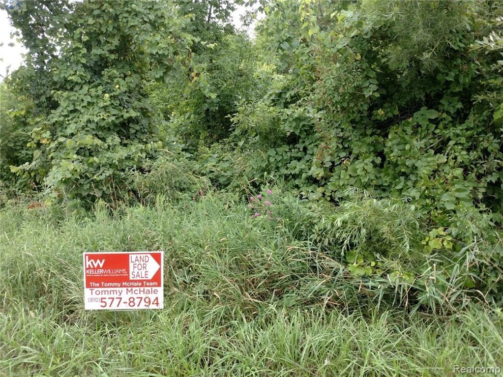 0 Lanway Road Clifford, MI 48727 - Photo 6 of 7