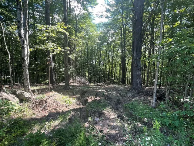 $54,900 | 0 Kennedy Brook Drive, Stoddard, NH 03464
