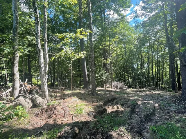 $54,900 | 0 Kennedy Brook Drive, Stoddard, NH 03464