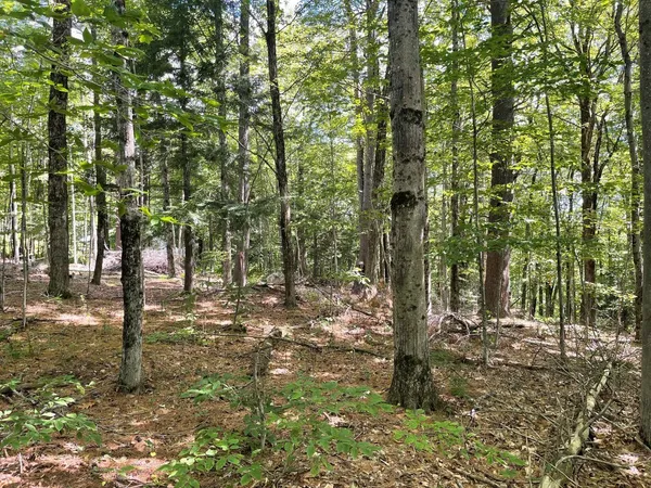 $49,900 | 0 Kennedy Brook Drive, Stoddard, NH 03464