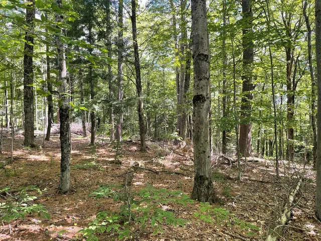 $54,900 | 0 Kennedy Brook Drive, Stoddard, NH 03464