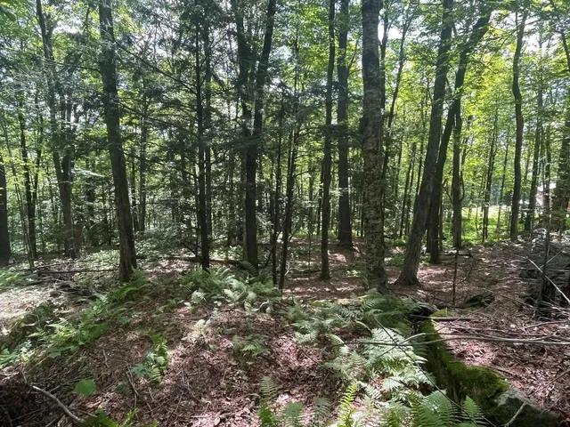 $54,900 | 0 Kennedy Brook Drive, Stoddard, NH 03464