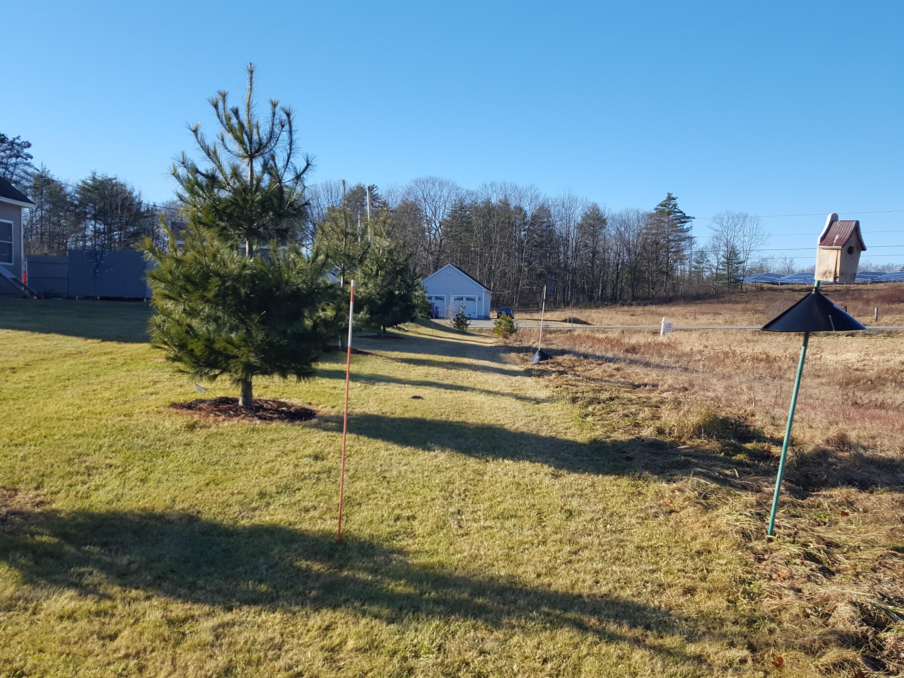 88 Mitchell Hill Road Gorham, ME 04038 - Photo 9 of 99 Right Sideline