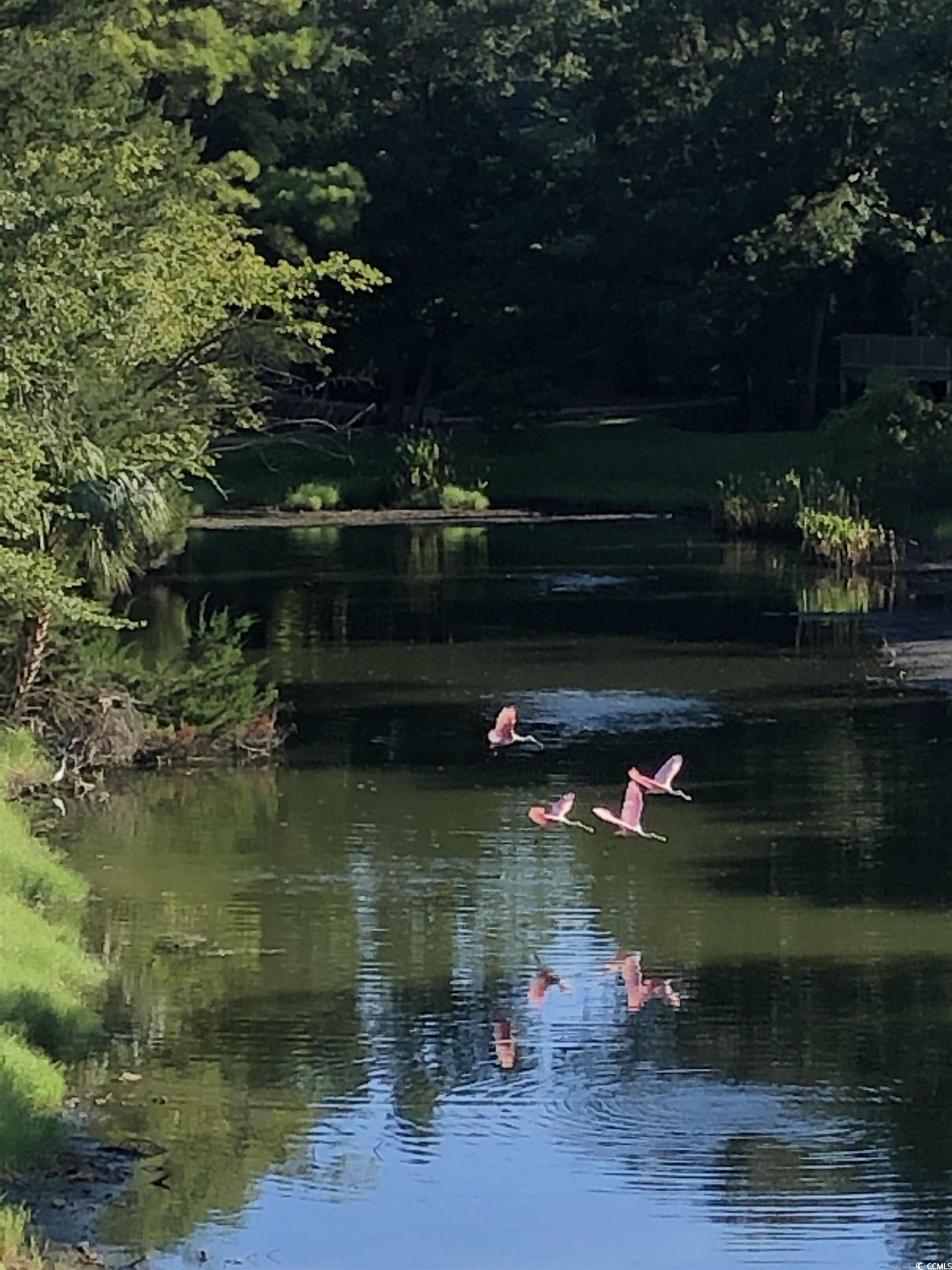 175 St Clears Way, Unit 23G Myrtle Beach, SC 29572 - Photo 30 of 40