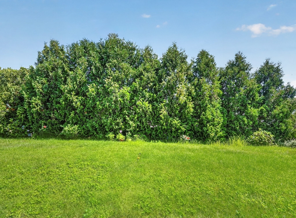2 Carlisle Road, Unit 2 Bedford, MA 01730 - Photo 29 of 34 Gallery Image 29