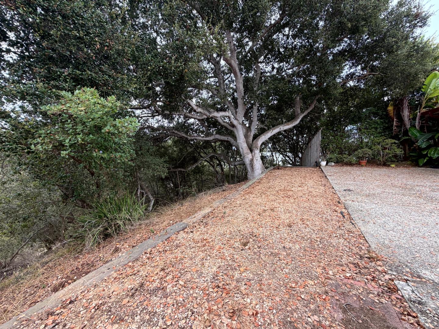 1101 Elkhorn Road, Unit B Watsonville, CA 95076 - Photo 13 of 14 Gallery Image 13