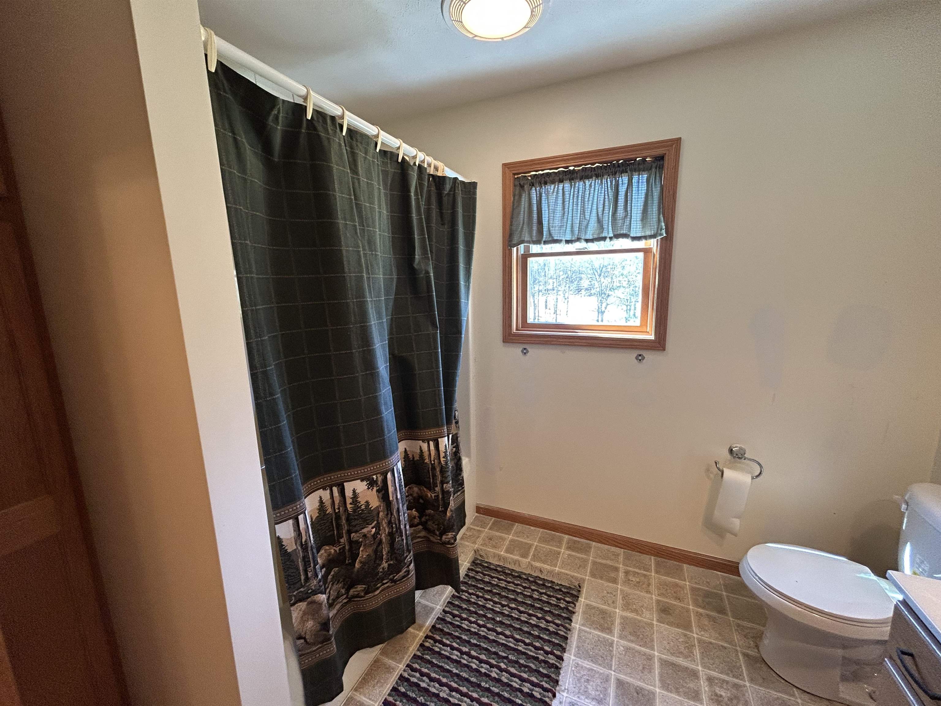 9668 West Geers Road McBain, MI 49657 - Photo 20 of 54