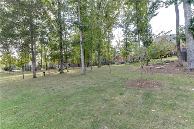 5535 Rathkeale Lane Franklin, TN 37067 - Photo 18 of 18 Fenced, park like back yard.