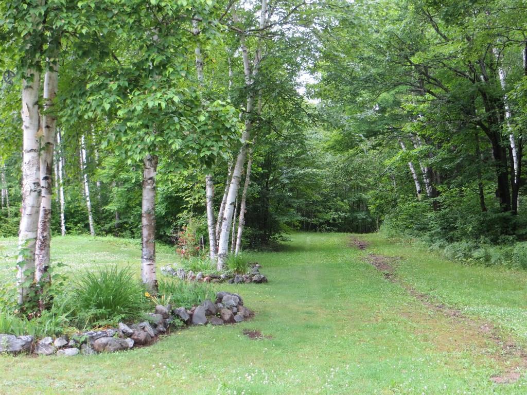 421 Beaulieu Road St. David, ME 04773 - Photo 35 of 35 Backyard - Trails in back of homes.