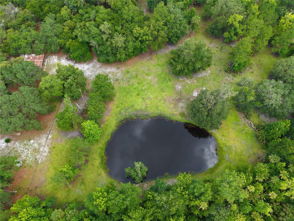 an aerial view of a trees