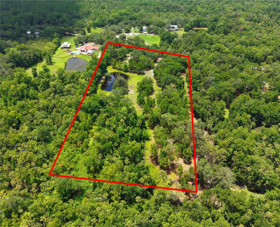 1676 Sunset Trail Geneva, FL 32732 - Photo 1 of 22 a backyard of a house with lots of green space and garden