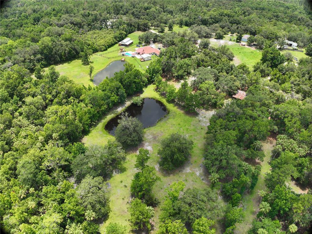 1676 Sunset Trail Geneva, FL 32732 - Photo 11 of 22 an aerial view of residential houses with outdoor space and trees