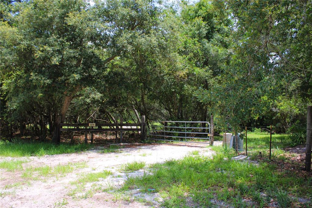 1676 Sunset Trail Geneva, FL 32732 - Photo 12 of 22 a view of park with bench in a garden