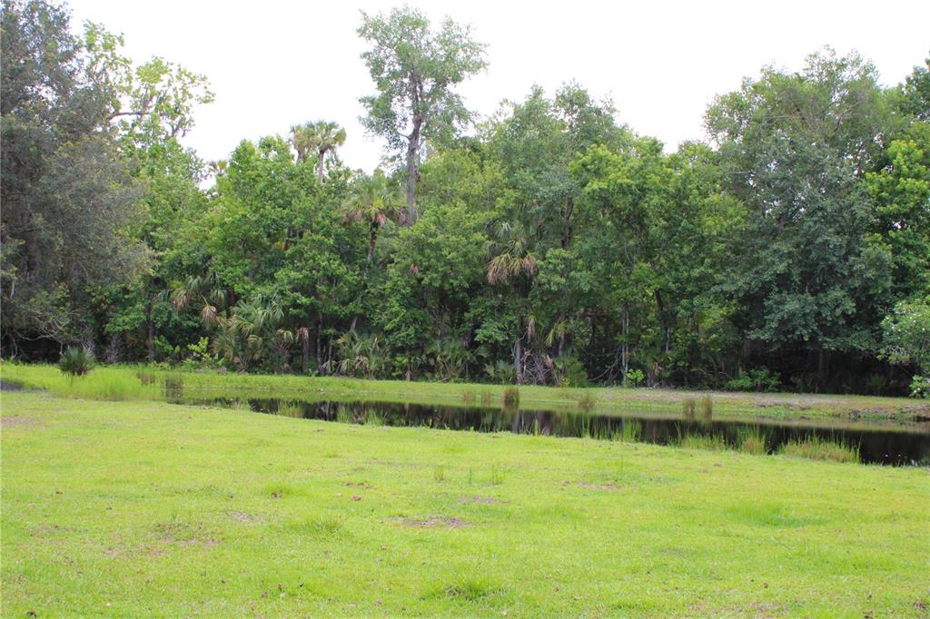 1676 Sunset Trail Geneva, FL 32732 - Photo 18 of 22 a view of a backyard