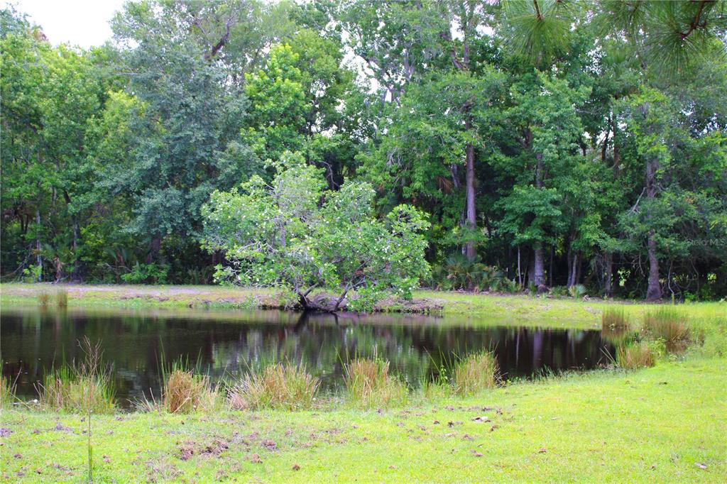 1676 Sunset Trail Geneva, FL 32732 - Photo 20 of 22 a view of a lake view