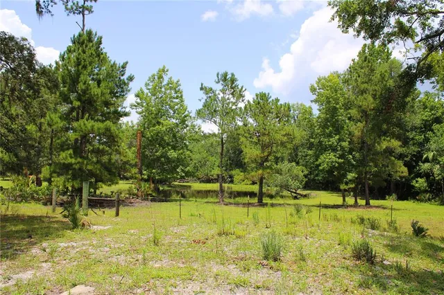 a view of yard with swimming pool and green space