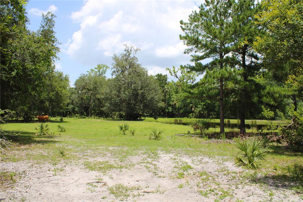 1676 Sunset Trail Geneva, FL 32732 - Photo 3 of 22 a view of a park