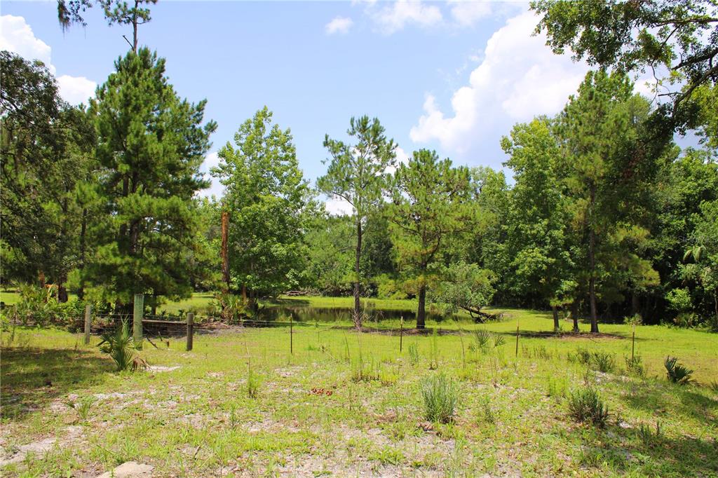 1676 Sunset Trail Geneva, FL 32732 - Photo 4 of 22 a view of yard with swimming pool and green space