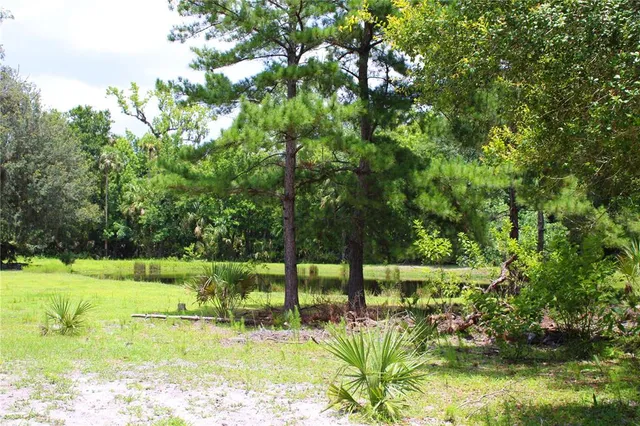 a view of yard with green space