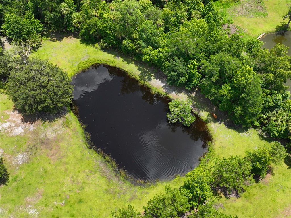 1676 Sunset Trail Geneva, FL 32732 - Photo 5 of 22 a view of a yard