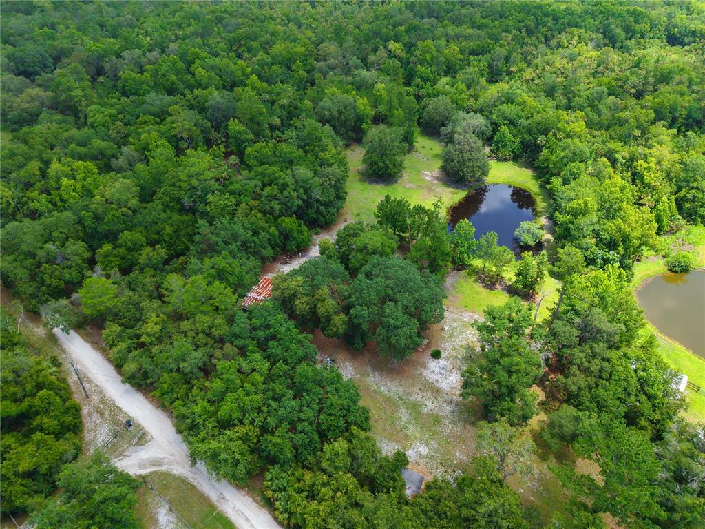 1676 Sunset Trail Geneva, FL 32732 - Photo 7 of 22 an aerial view of residential house with outdoor space and trees all around